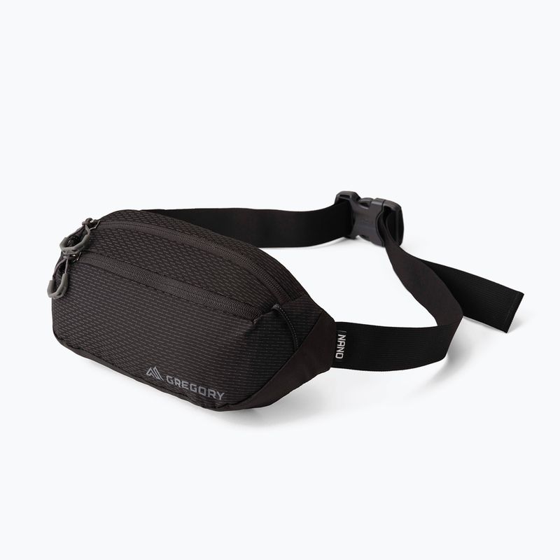 Ledvinka Gregory Nano Mini 3 l optic black