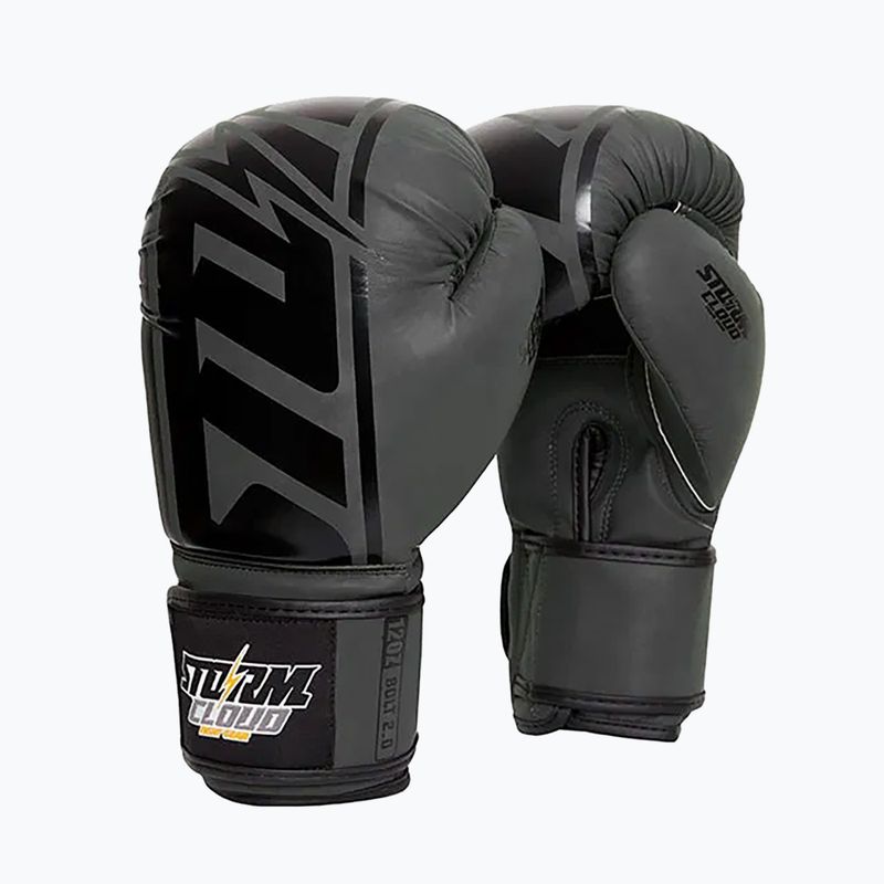 Boxerské rukavice StormCloud Bolt 2 2