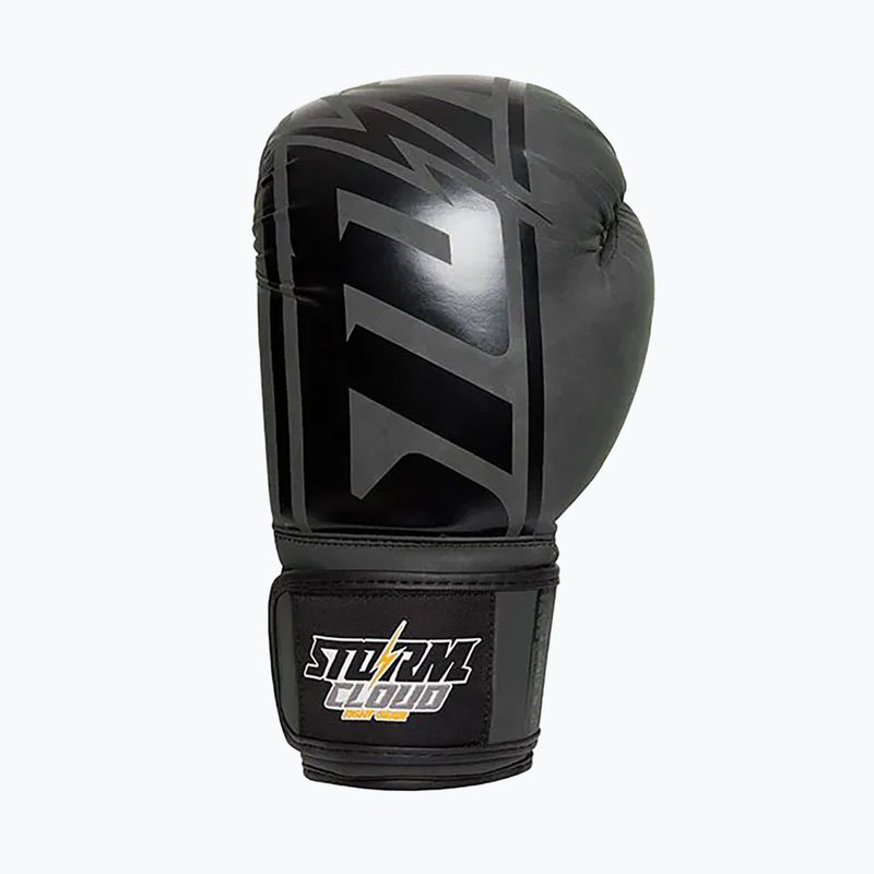 Boxerské rukavice StormCloud Bolt 2 3