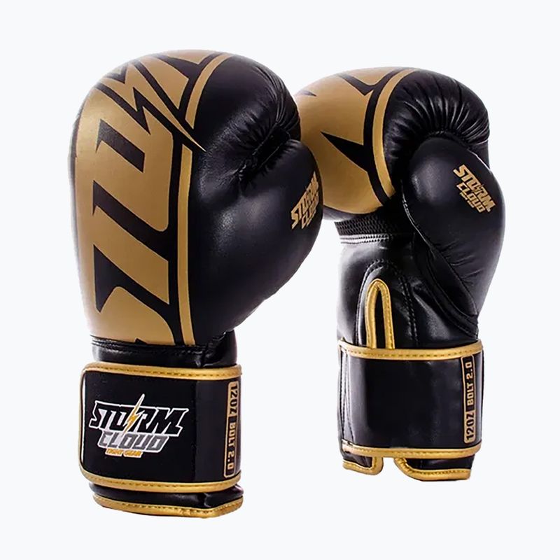 Boxerské rukavice StormCloud Bolt 2 2