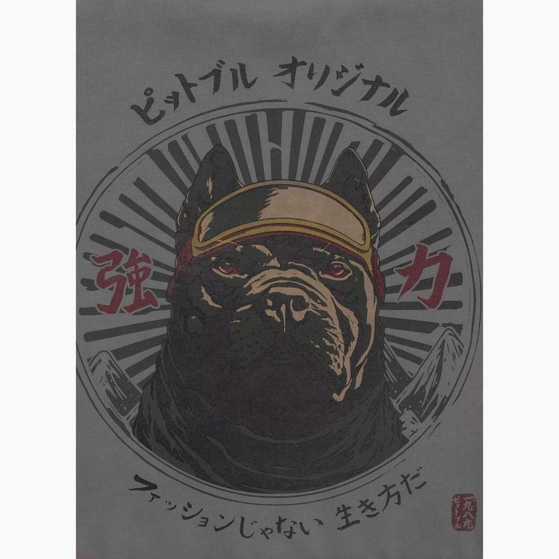 Pánská mikina  Pitbull Mt Fuji Crewneck Sweatshirt washed grey 6