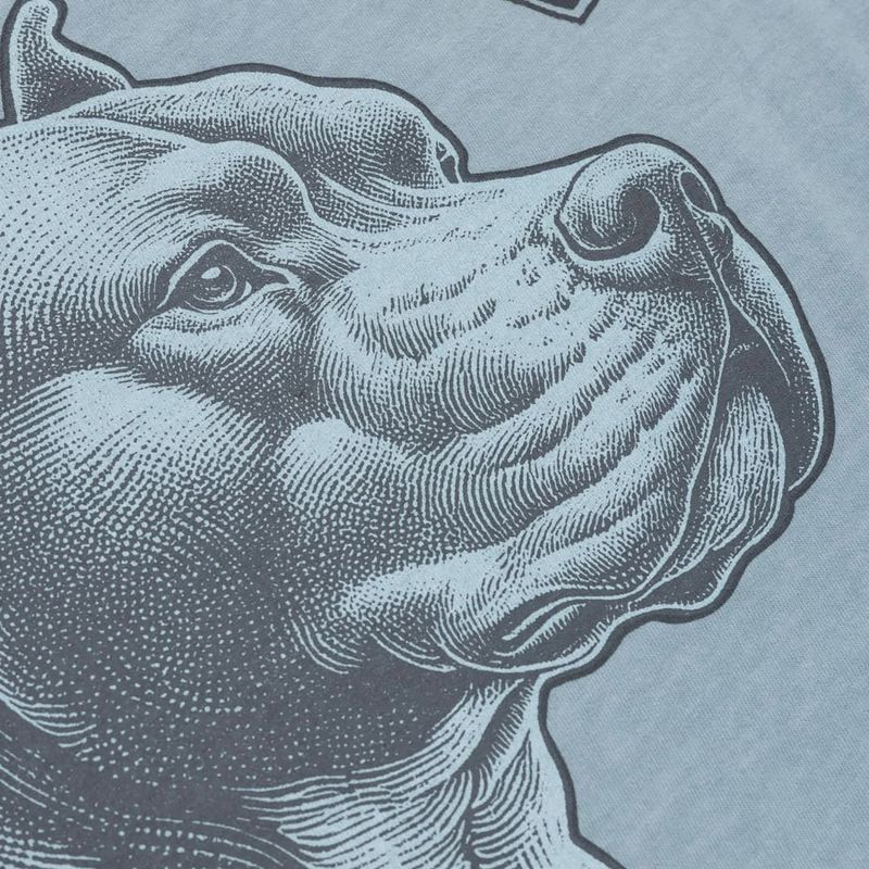 Pánské tričko Pitbull Pacific blue 10