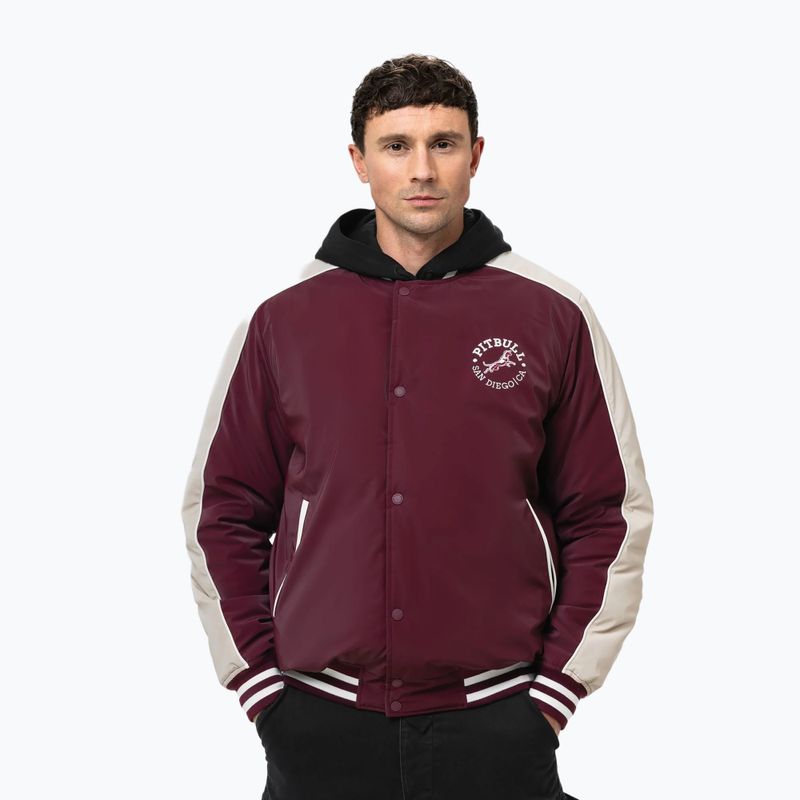 Pánská bunda Pitbull Manolito Baseball burgundy