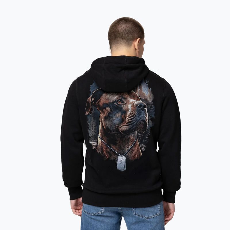 Pánská mikina Pitbull Hero Hooded black 2