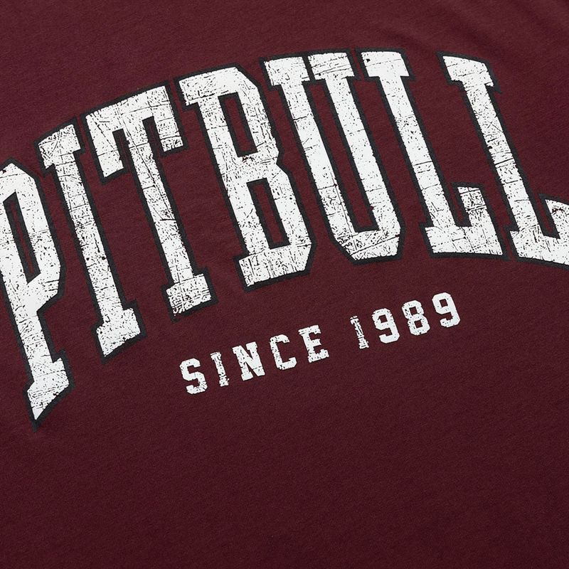 Pánské tričko na lezení Pitbull Norton burgundy 6