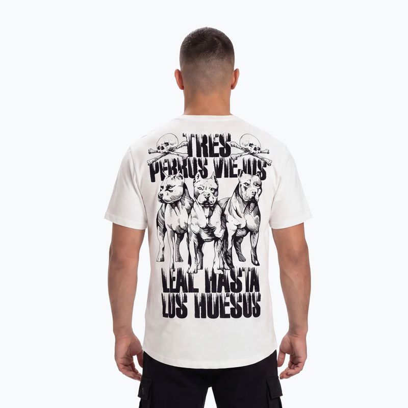 Pánské tričko na lezení Pitbull Tres Perros Viejos off white 2
