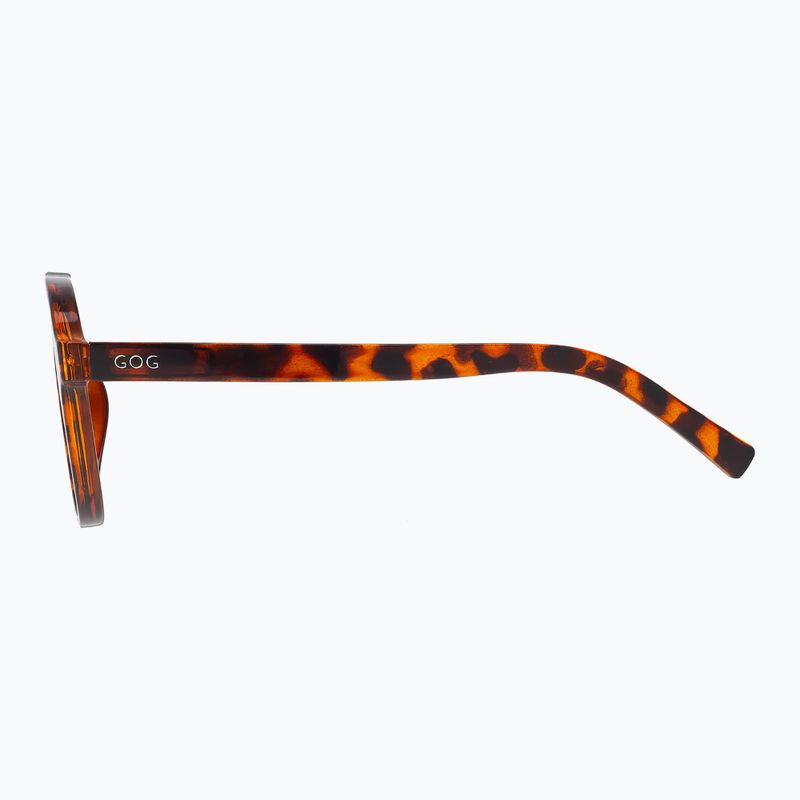 Sluneční brýle GOG Ranger brown demi/green 3