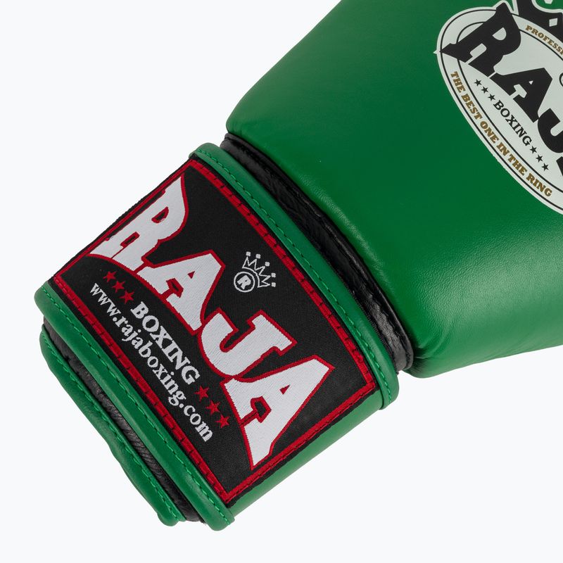 Boxerské rukavice RAJA BOXING Single Standard Genuine Leather green 6