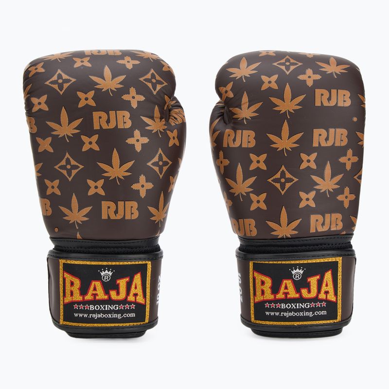 Boxerské rukavice RAJA BOXING Brown Weed 3
