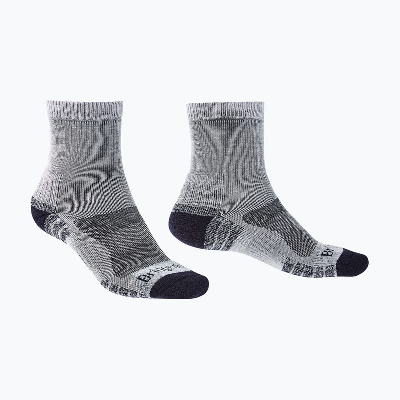 Pánské ponožky Bridgedale Lightweight Merino Performance 3/4 Crew Original silver/navy