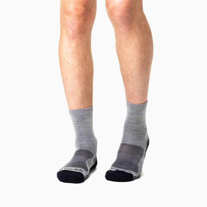 Pánské ponožky Bridgedale Lightweight Merino Performance 3/4 Crew Original silver/navy 5