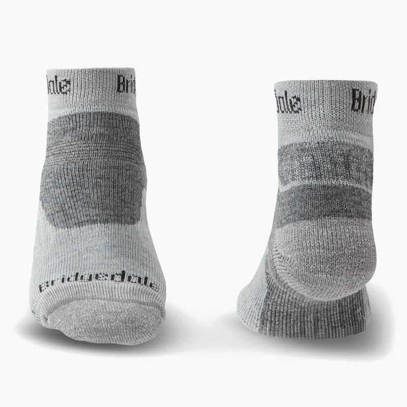 Pánské trekingové ponožky Bridgedale Hike Midweight Performance Ankle silver/black 2