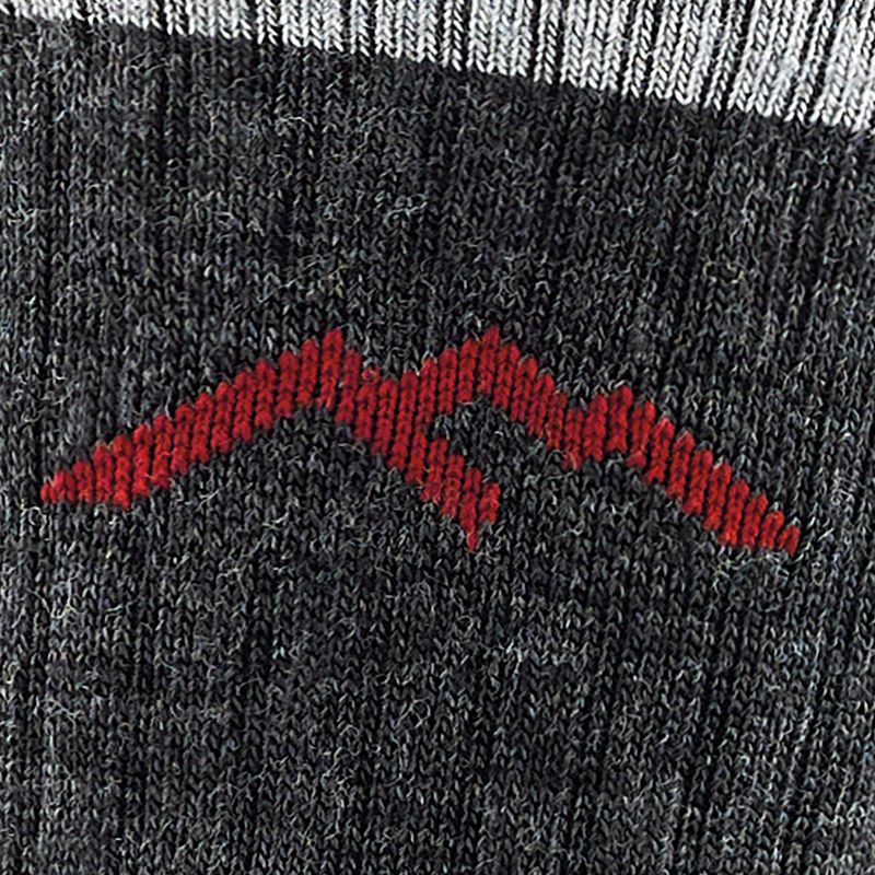 Pánské ponožky Darn Tough Hiker Micro Crew black 2