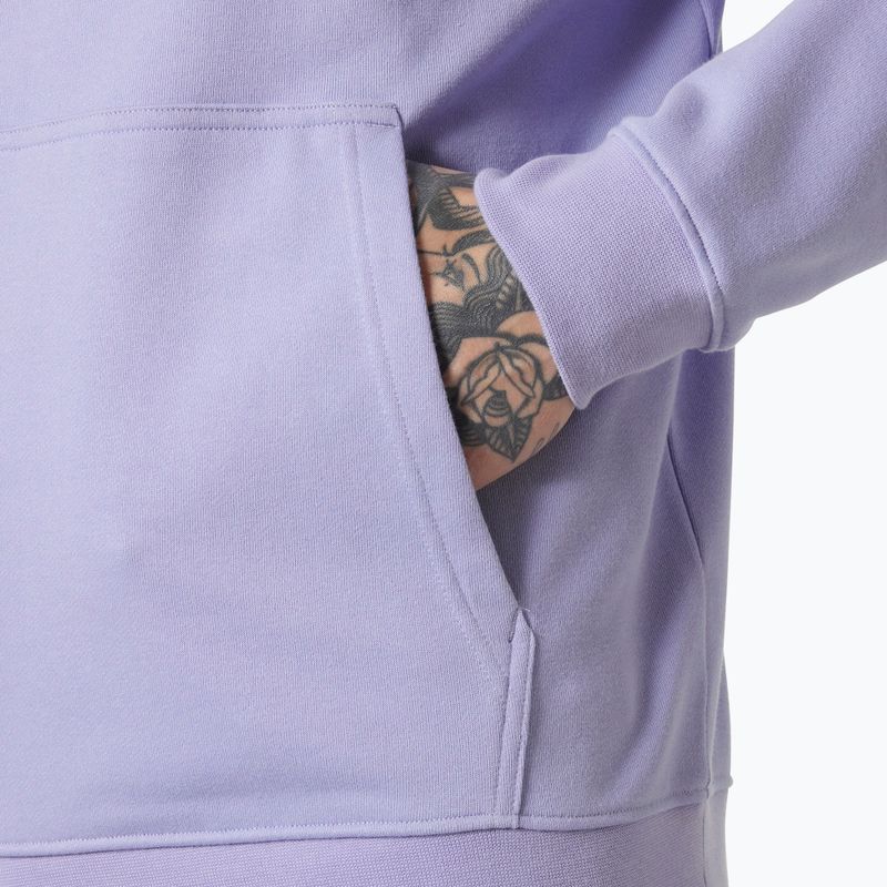 Pánská mikina Helly Hansen Core Graphic Sweat Hoodie bright lavender 5