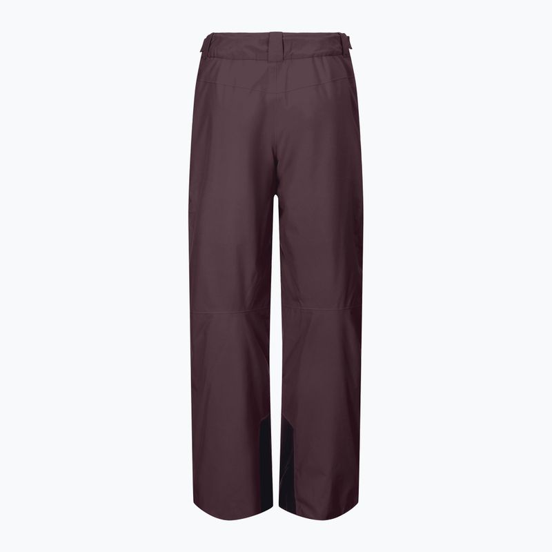 Pánské lyžařské kalhoty SCOTT Ultimate Dryo 10 cocoa red 2