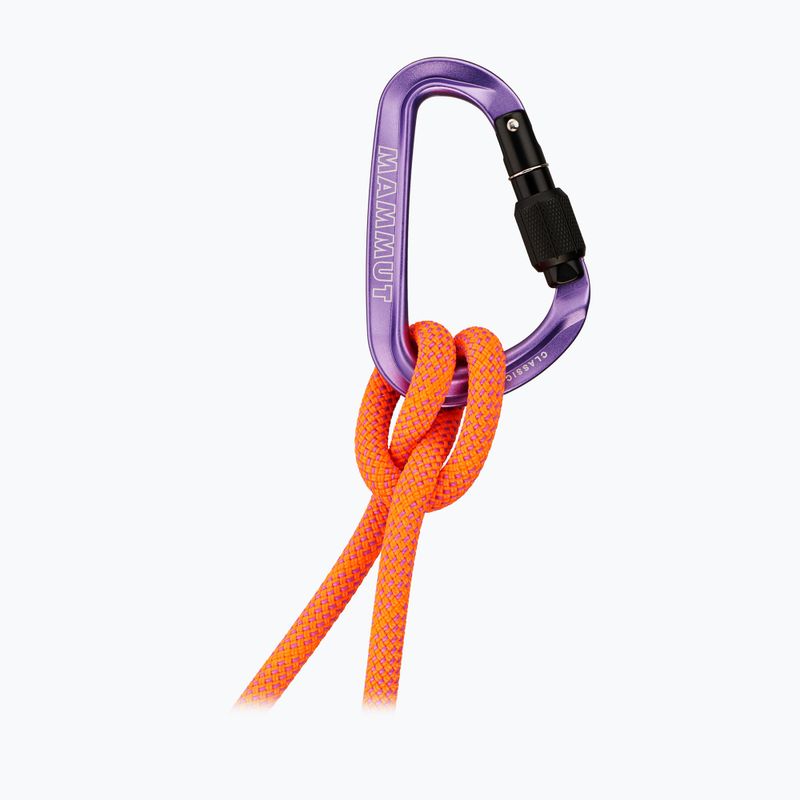 Karabina Mammut Classic HMS Screwgate screw gate/alpine calamint 2
