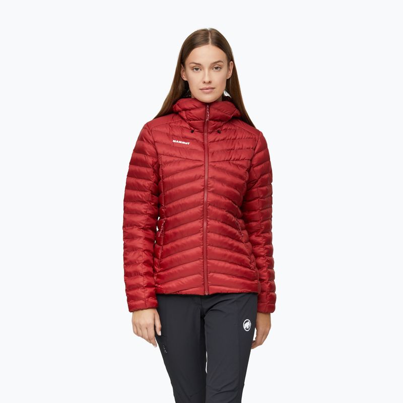 Dámská zateplená bunda Mammut Albula IN Hooded Jacket Women dark mammut red