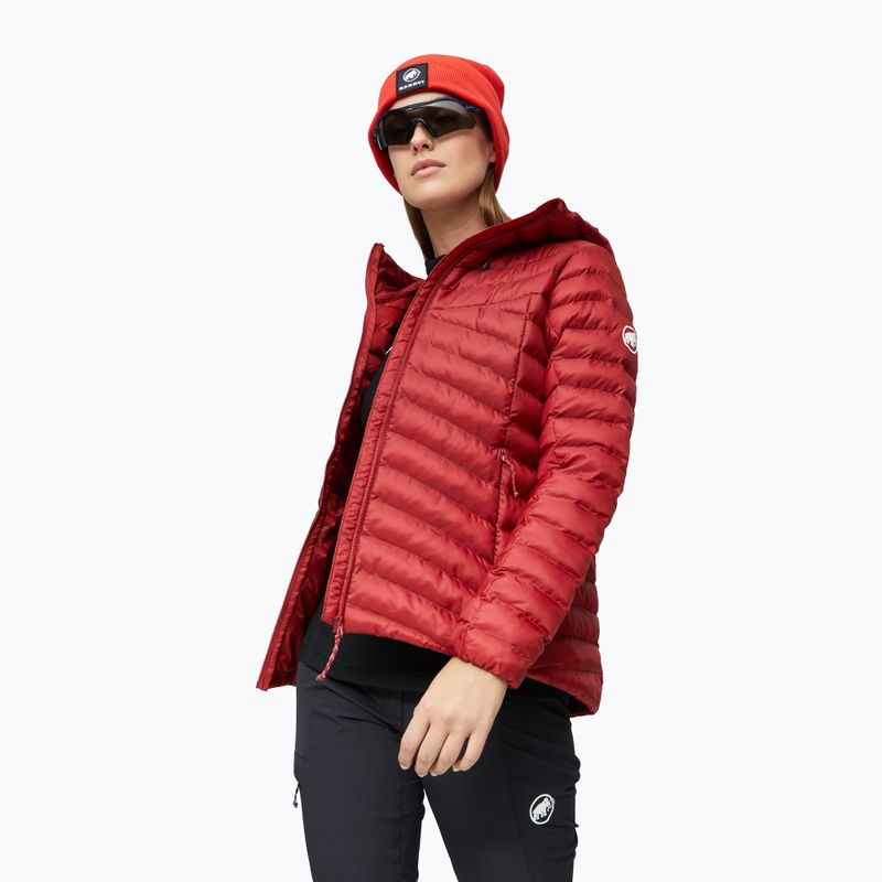 Dámská zateplená bunda Mammut Albula IN Hooded Jacket Women dark mammut red 5
