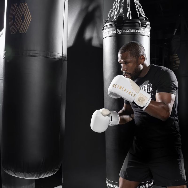 Boxerské rukavice Hayabusa Mayweather Champ white/gold 10
