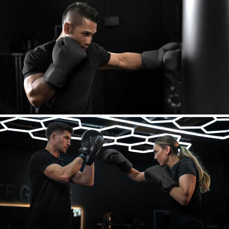 Boxerské rukavice Hayabusa T360 Leather black 12