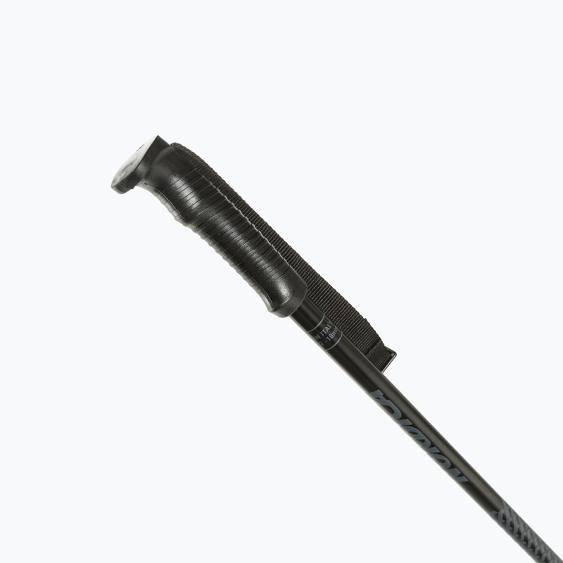 Lyžařské hole Nordica Primo Uni grey 2