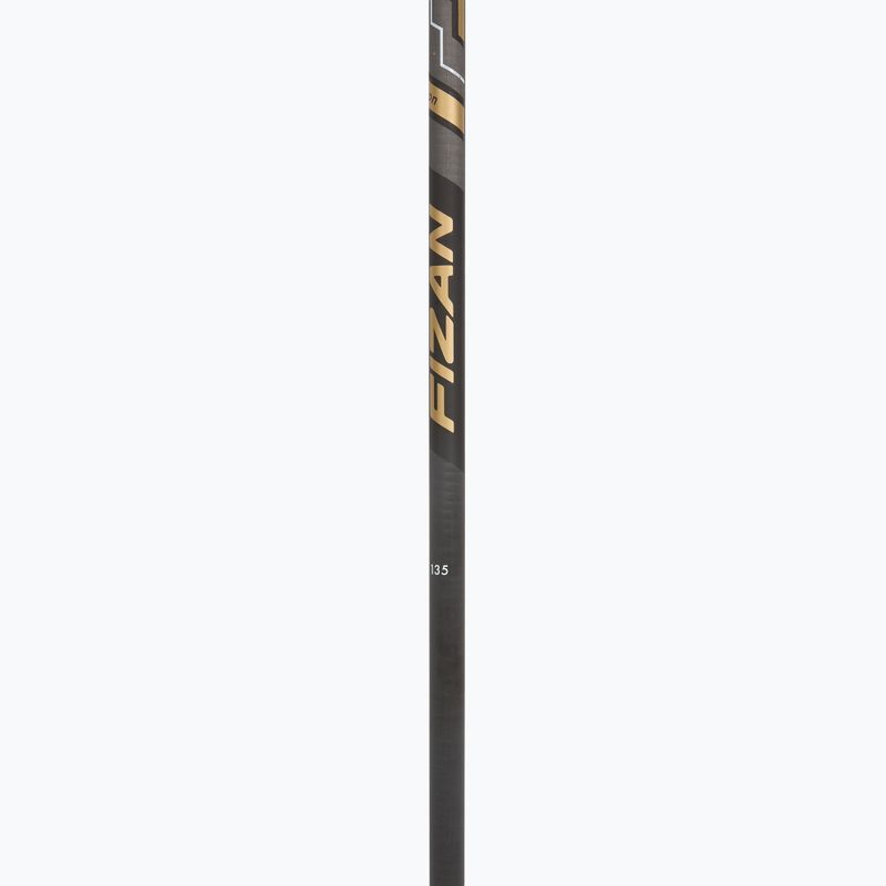 Nordic walking hole Fizan Runner gold 4