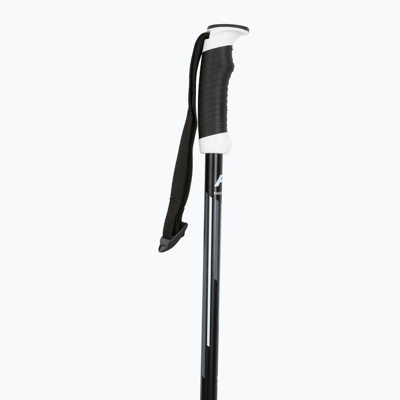 Lyžařské hole Fizan Action Pro grey 2
