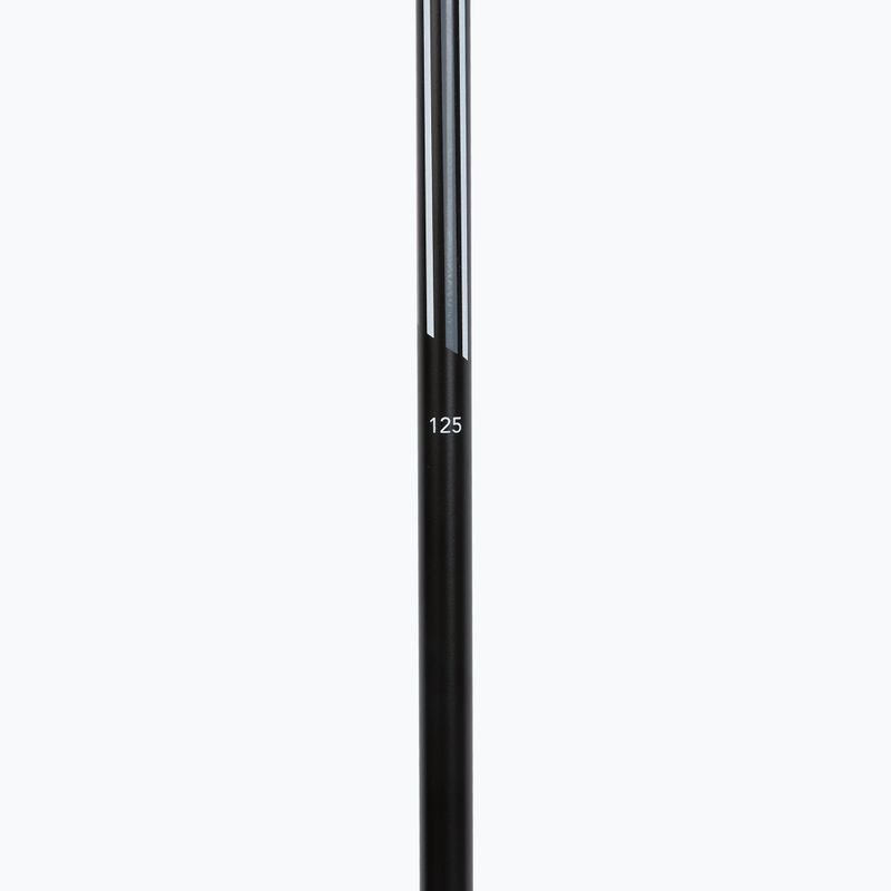 Lyžařské hole Fizan Action Pro grey 4