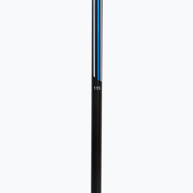 Lyžařské hole Fizan Action Pro blue 4
