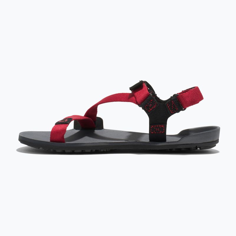 Dětské sandály Barefoot Xero Shoes Z-Trail charcoal/red pepper 9