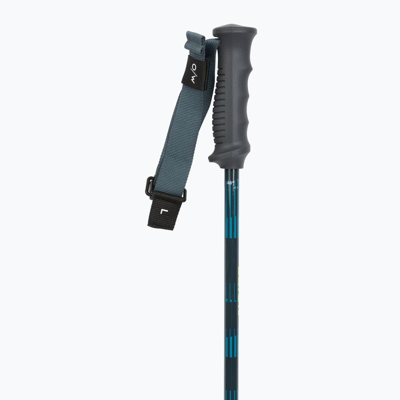 Lyžařské hole Fischer RC4 Noize grey / blue 2