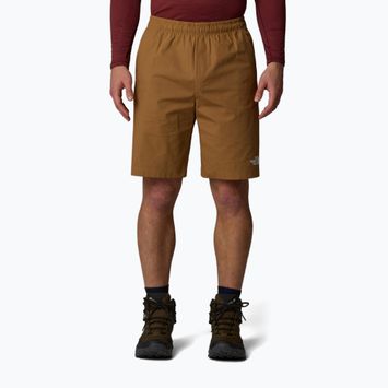 Pánské šortky The North Face Limestone utility brown