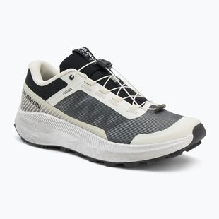 Pánské běžecké boty Salomon Vision vanilla ice/lunar/rock/black