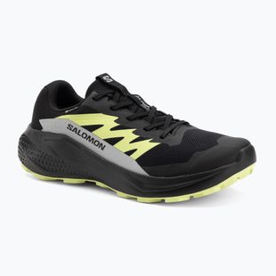 Pánské běžecké boty Salomon Alphaglide GTX black/alloy/sharp green