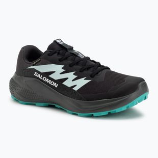 Dámské běžecké boty Salomon Alphaglide GTX hantom/urban chic/waterfall
