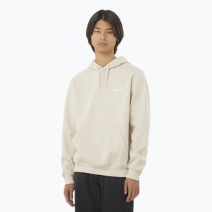 Pánská mikina Salomon Logo Hoodie rainy day