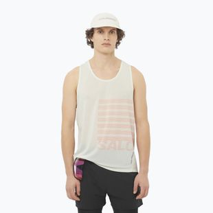 Pánské běžecké tílko Salomon Sense Aero Singlet GFX icicle