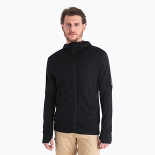 Pánská trekingová mikina icebreaker Merino 260 Quantum IV Zip Hoodie black