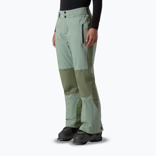 Dámské lyžařské kalhoty The North Face Lenado Regular slate moss/bark mist