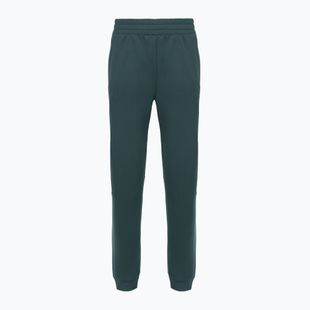 Dámské kalhoty The North Face Mountain Athletics Fleece deep cypress/space