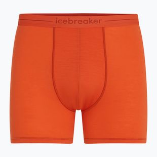 Pánské termo boxerky Icebreaker Anatomica fervid