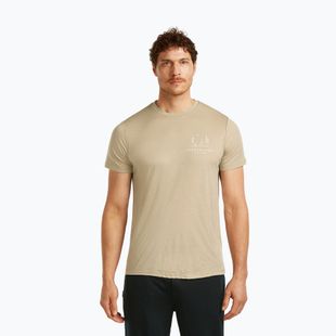 Pánské tričko icebreaker Merino 150 Tech Lite Peaceful Pass Tee flagstone
