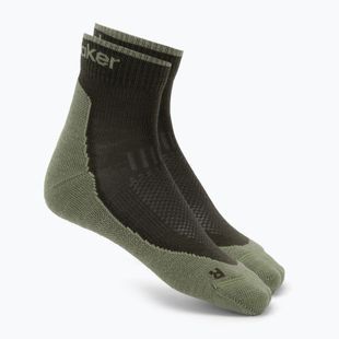 Pánské ponožky Icebreaker Merino Hike+ Light Mini dark loden/lichen