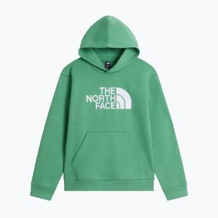 Dětská mikina The North Face Essential Drew Peak Hoodie dimmed algae