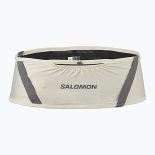 Běžecký pás Salomon Pulse icicle / castlerock