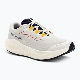 Pánské běžecké boty Salomon Aero Blaze 3 Gravel GTX vanilla ice/astral aura/lemon