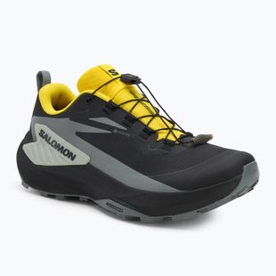 Pánské běžecké boty Salomon Genesis GTX black/sedona sage/incaberry