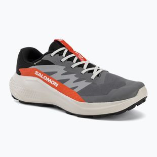Pánské běžecké boty Salomon Alphaglide GTX castlerock/lunar rock