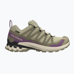 Dámské běžecké boty Salomon XA Pro 3D V9 GTX bog/aloe