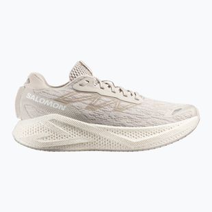 Pánské běžecké boty Salomon Aero Glide 4 silver/silver/white